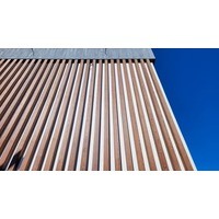 Фасад из лиственницы